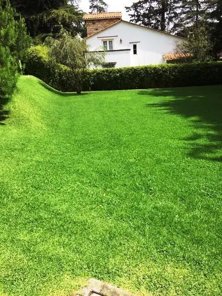 Lote en venta · San Bartolo Ameyalco, Álvaro Obregón, Ciudad de México