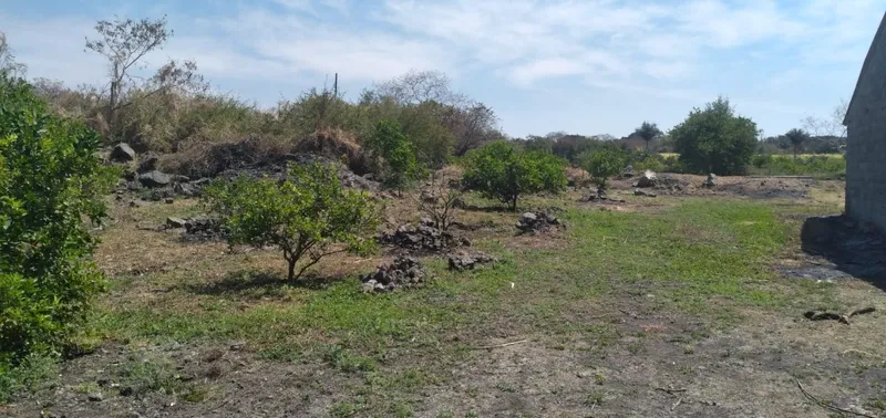 Lote en venta · Atlacholoaya, Xochitepec, Morelos