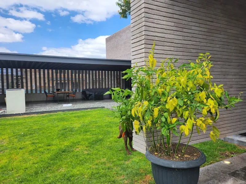 Casa en venta · El Campanario, Santiago de Querétaro, Querétaro