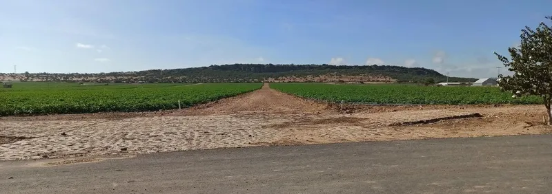 Foto 41