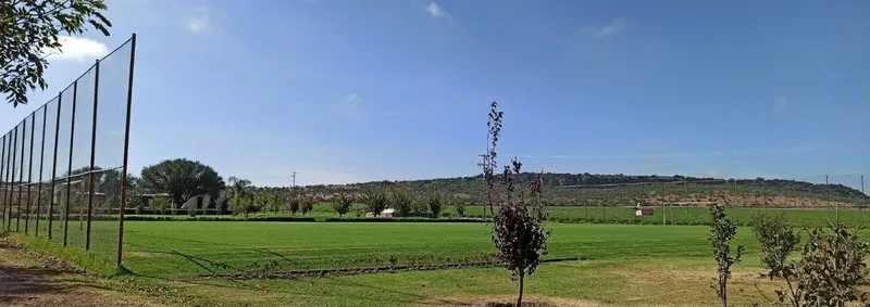 Foto 14