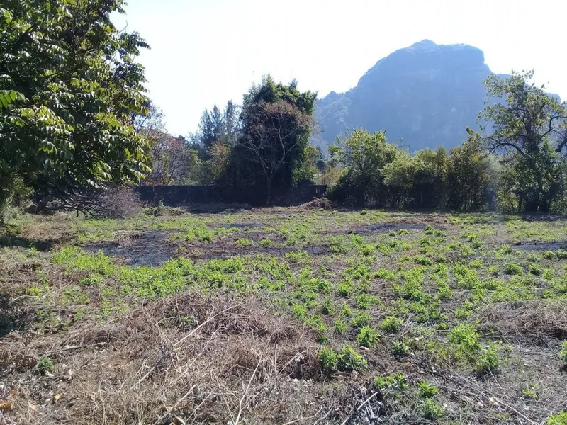 Foto 6
