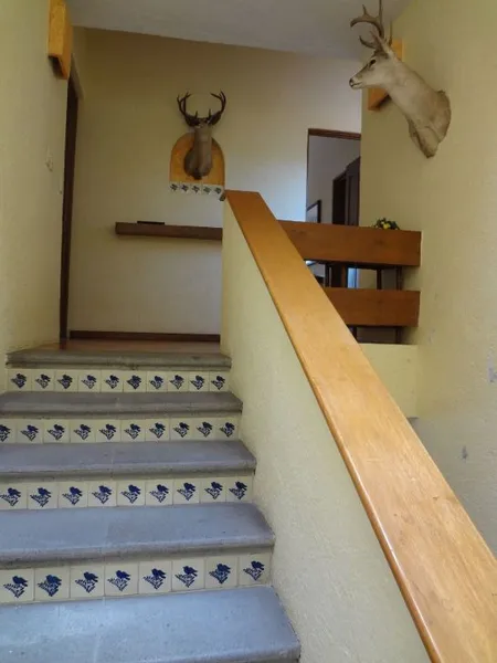 Foto 16
