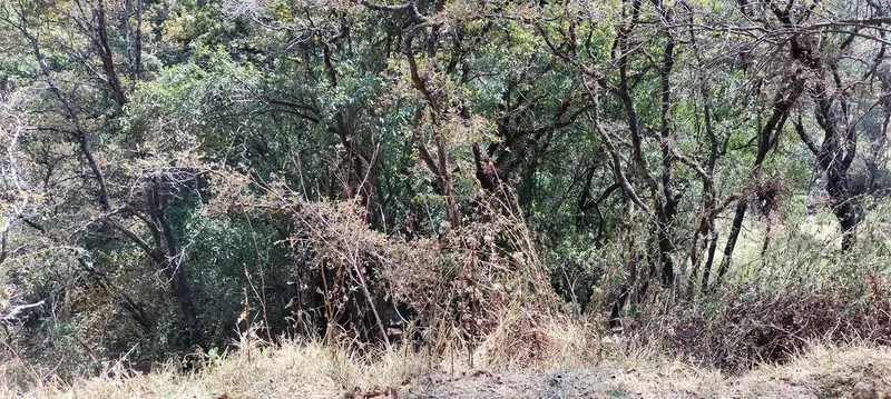 Foto 7