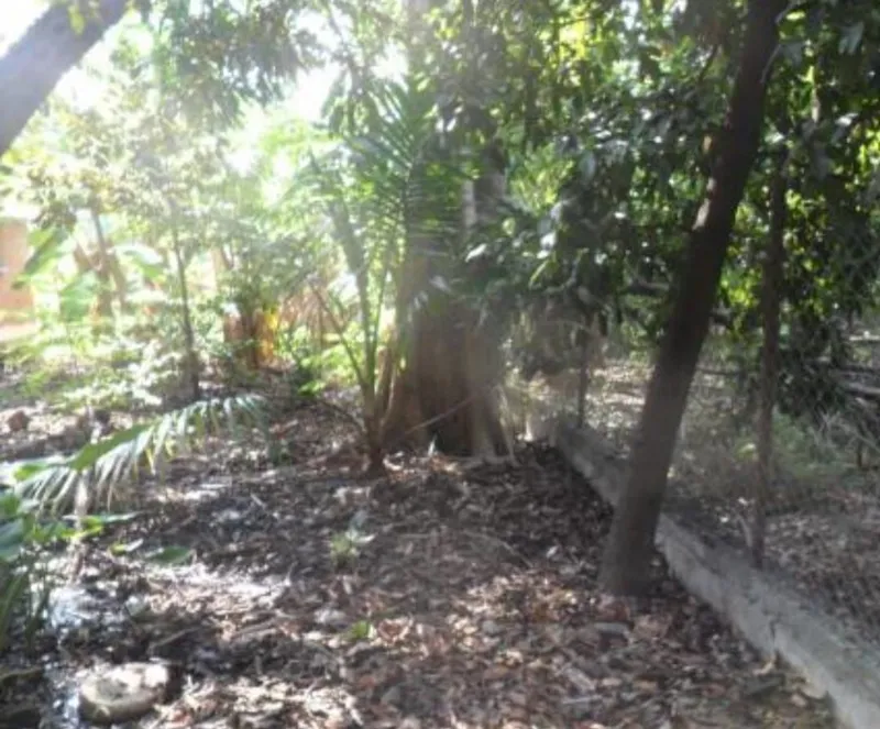 Lote en venta · Morelos, Coatlán del Río, Morelos Lote en venta · Morelos, Coatlán del Río, Morelos