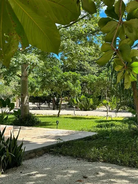 Foto 40