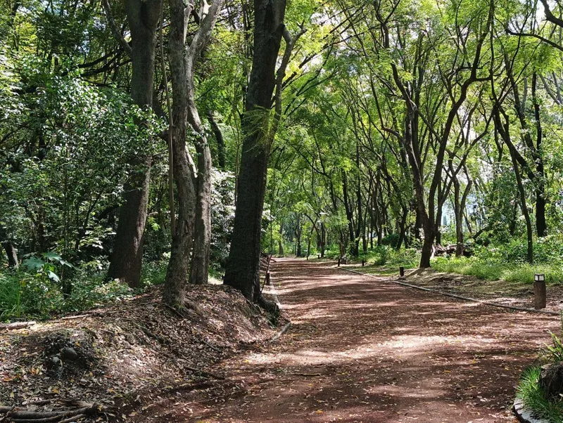 Lote en venta · El Carmen, Atlixco, Puebla