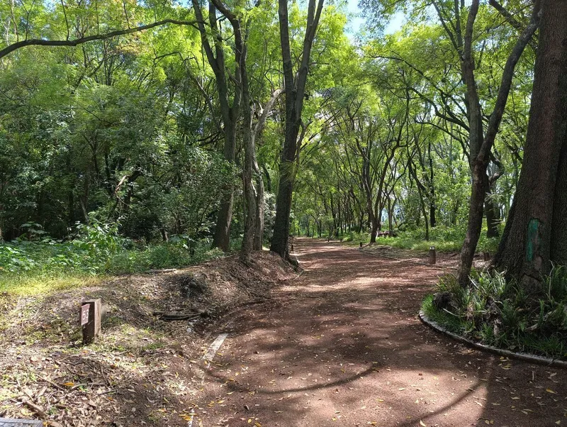 Foto 4