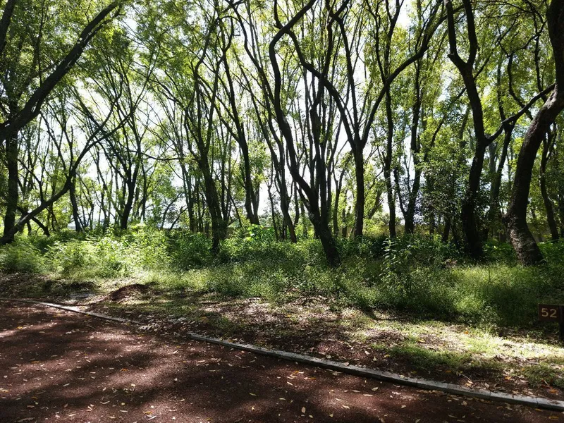 Lote en venta · El Carmen, Atlixco, Puebla