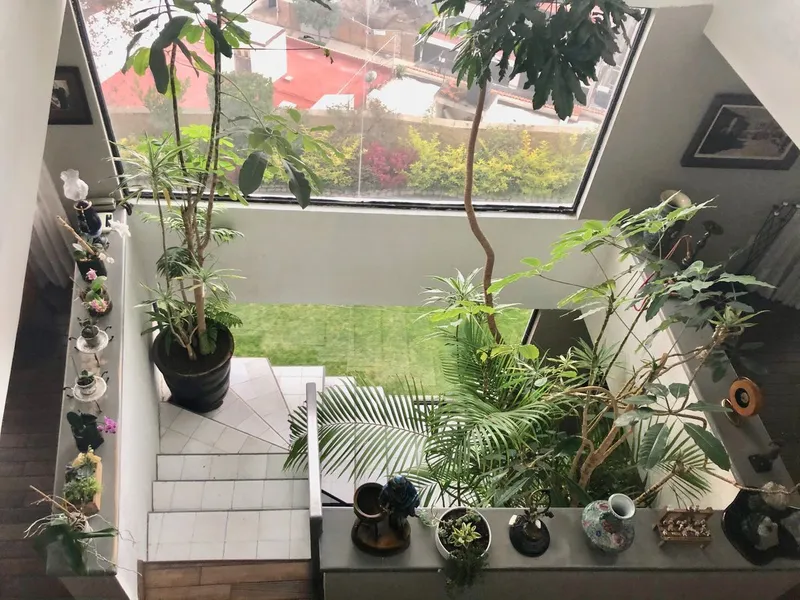 Foto 14
