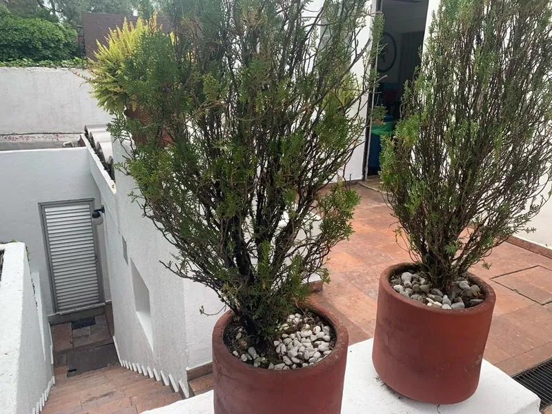 Foto 28