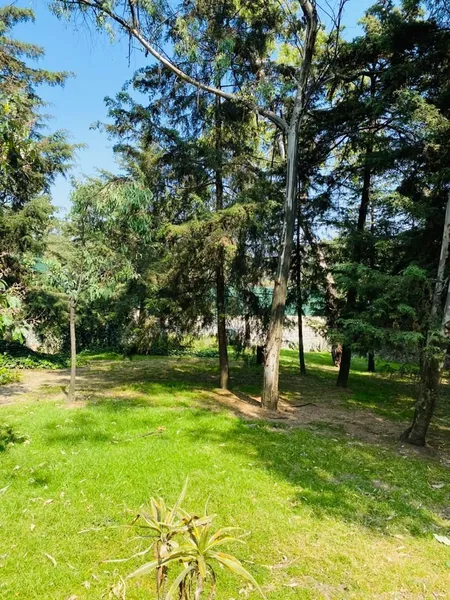 Lote en venta · Lomas de Vista Hermosa, Cuajimalpa de Morelos, Ciudad de México