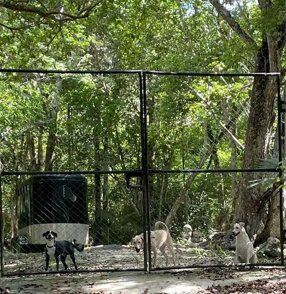 Casa en venta · Tulum, Quintana Roo Casa en venta · Tulum, Quintana Roo