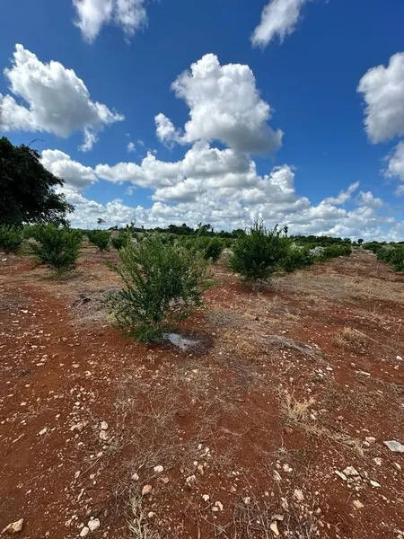 Foto 13