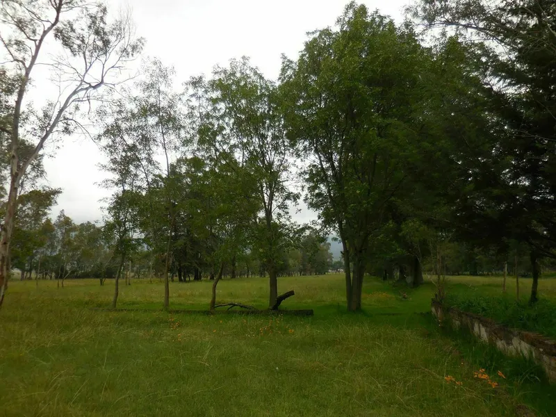 Foto 13