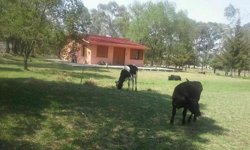 Foto 8