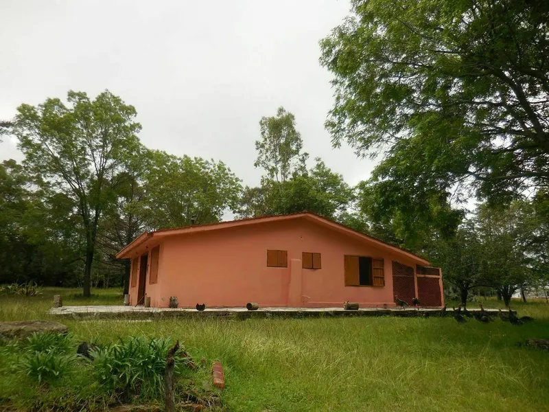 Foto 7