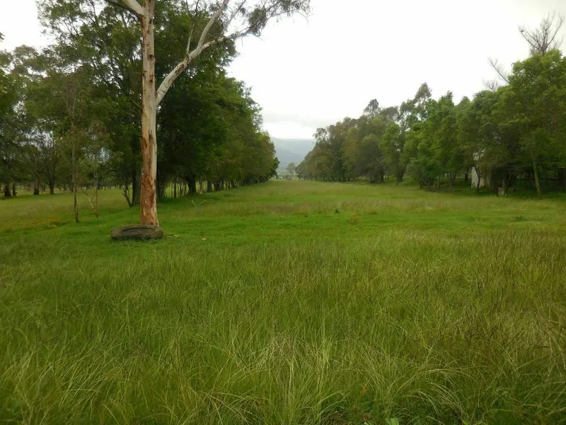 Foto 3