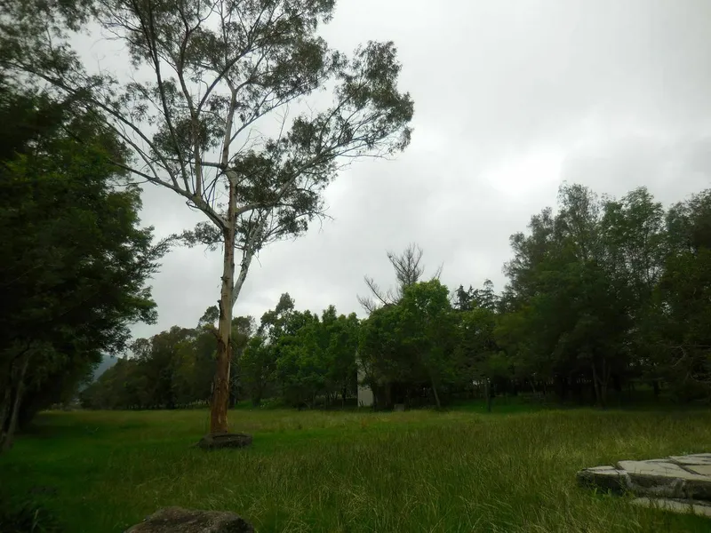 Foto 10