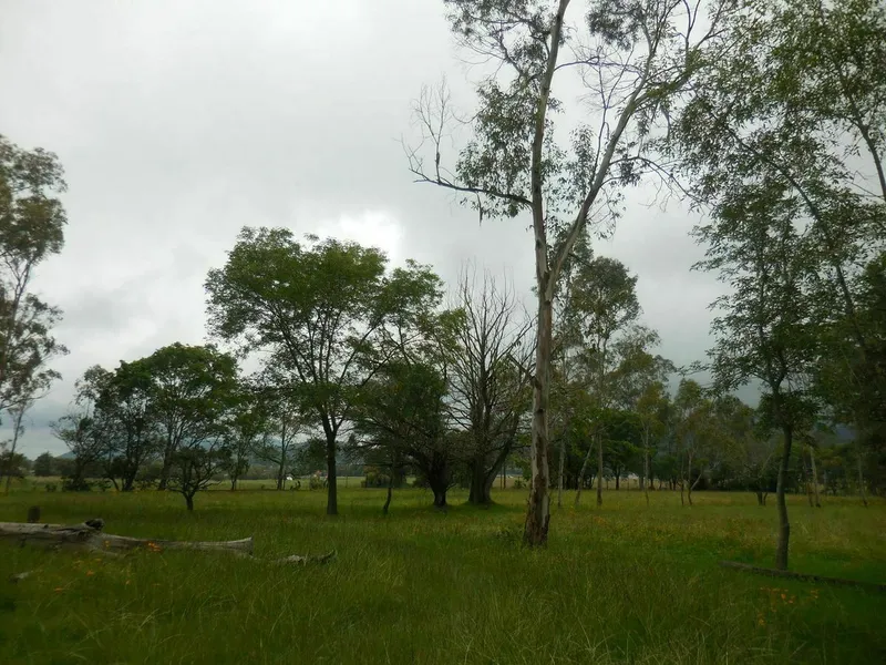 Lote en venta · Jilotepec de Molina Enríquez, Jilotepec, Estado de México