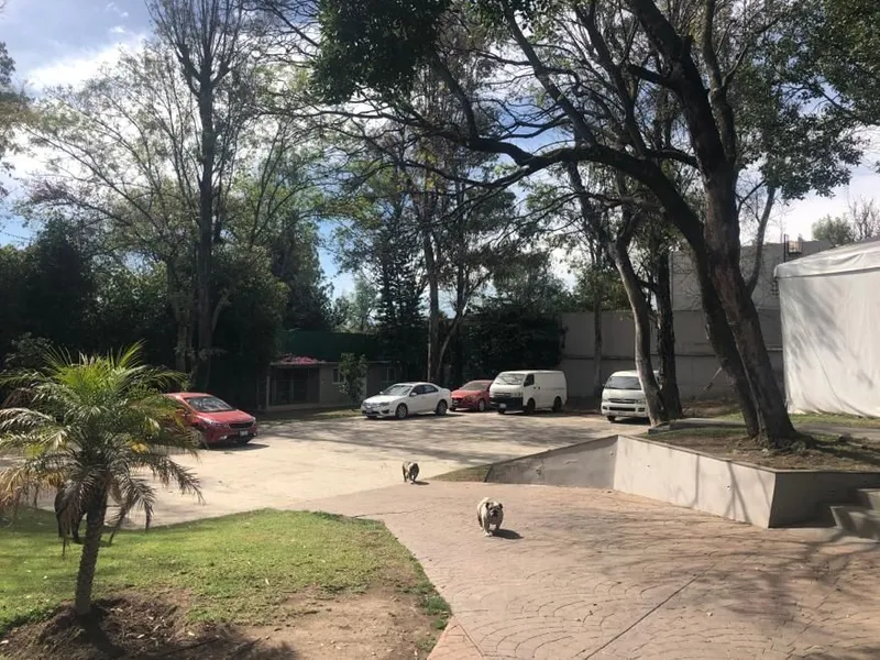 Foto 12