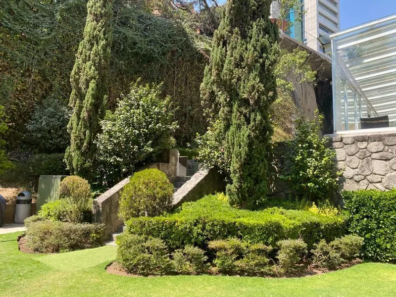 Foto 19