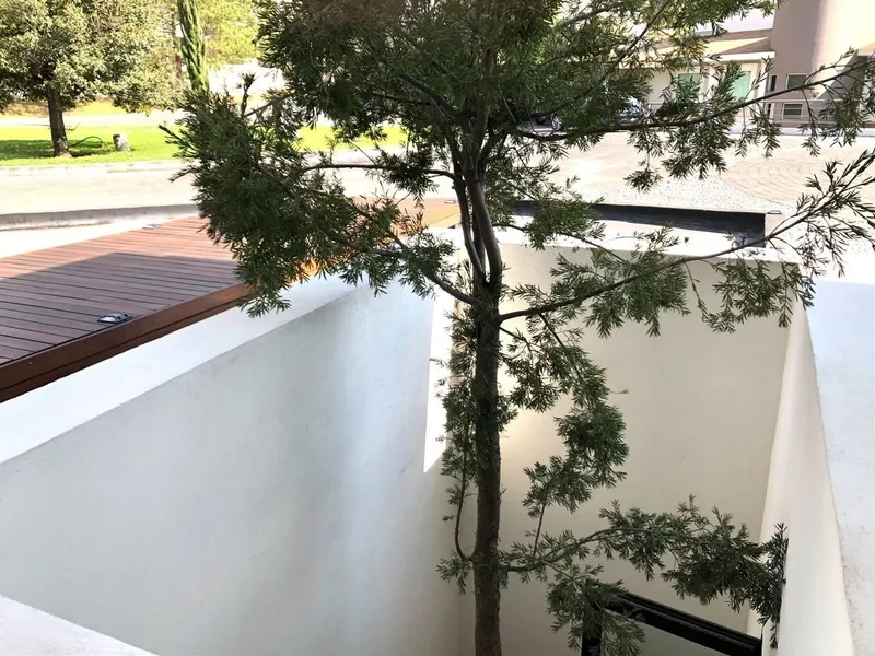 Foto 34