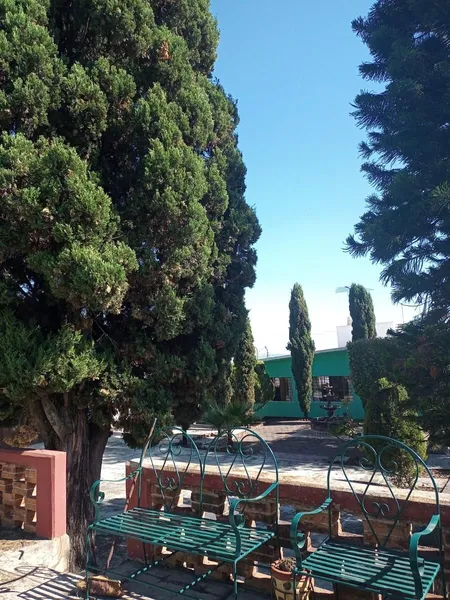 Foto 6