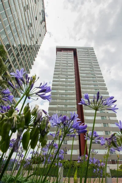 Departamento en venta · San Mateo Tlaltenango, Cuajimalpa de Morelos, Ciudad de México Departamento en venta · San Mateo Tlaltenango, Cuajimalpa de Morelos, Ciudad de México