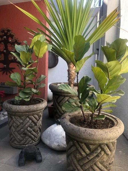 Foto 37