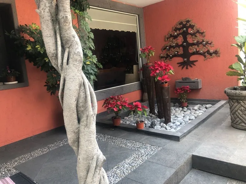 Foto 7