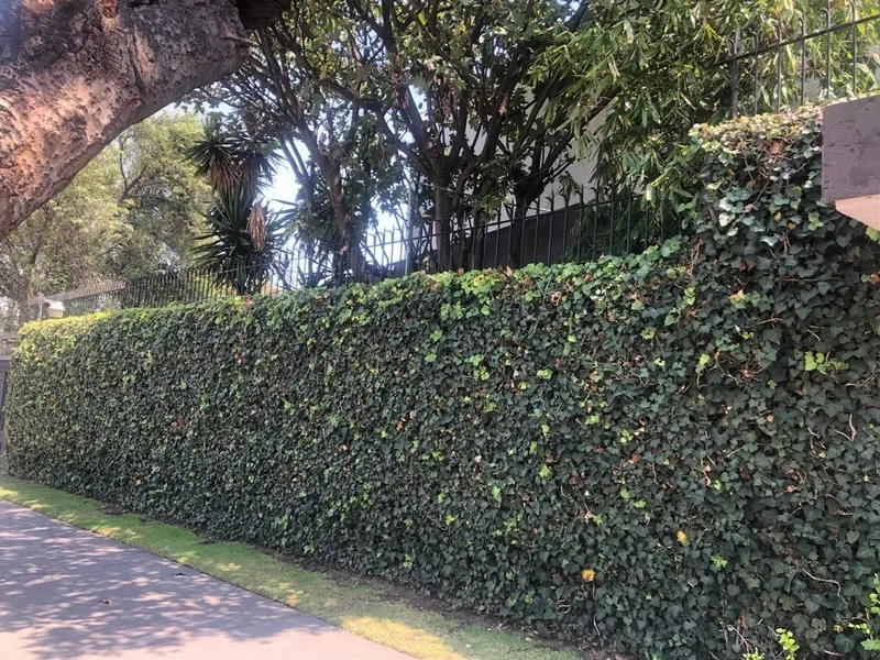 Foto 5