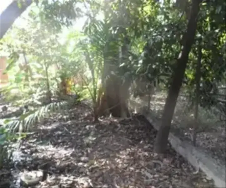Lote en venta · Morelos, Coatlán del Río, Morelos Lote en venta · Morelos, Coatlán del Río, Morelos