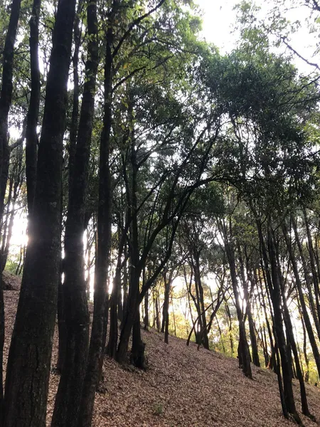 Lote en venta · Cañada de Alférez, Lerma, Estado de México