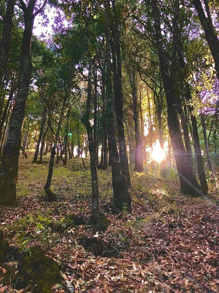 Lote en venta · Cañada de Alférez, Lerma, Estado de México