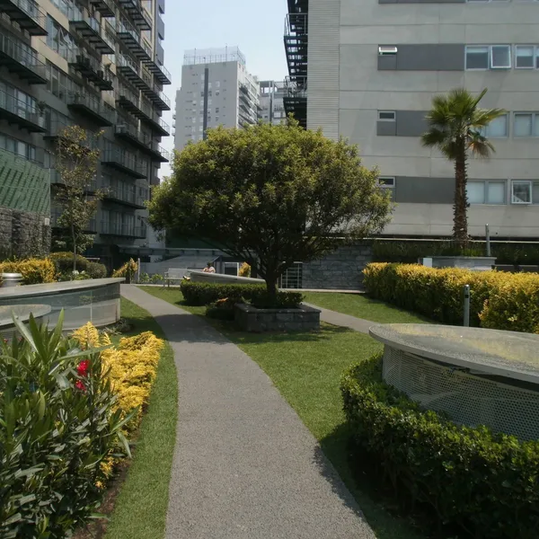 Foto 4