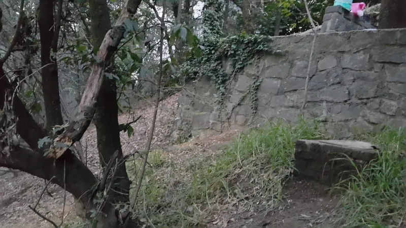 Lote en venta · Alcantarilla, Álvaro Obregón, Ciudad de México