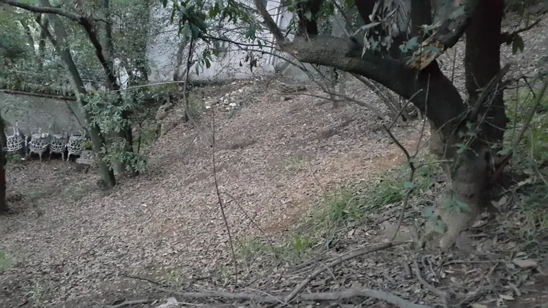 Lote en venta · Alcantarilla, Álvaro Obregón, Ciudad de México