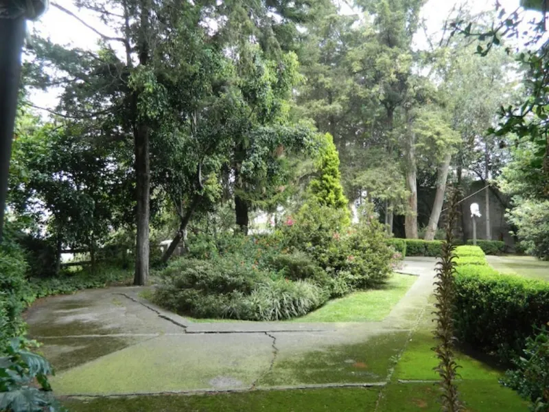 Foto 12