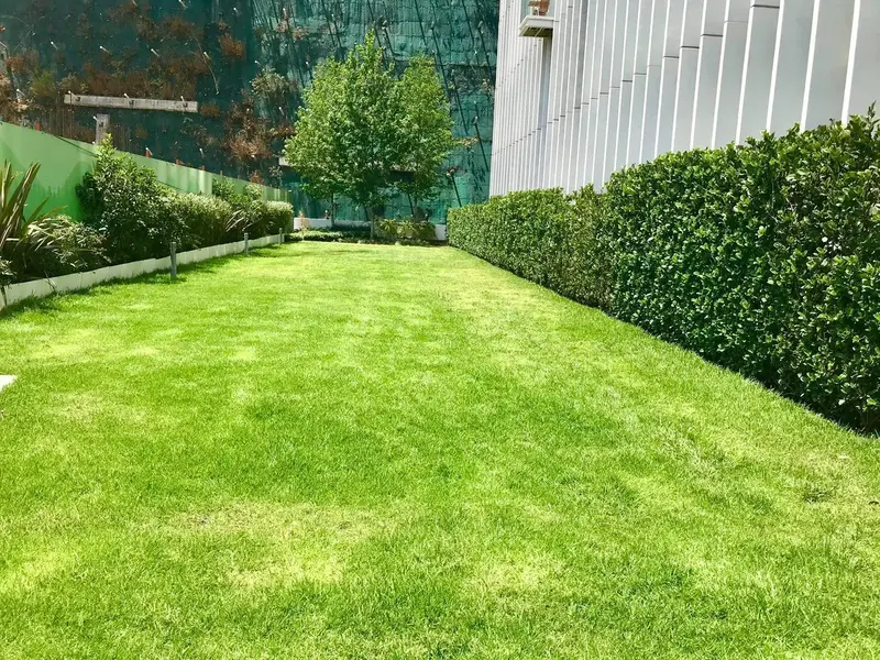 Foto 19