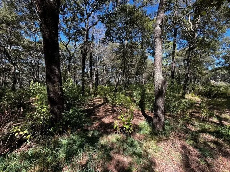 Lote en venta · Santa María Mazatla, Jilotzingo, Estado de México