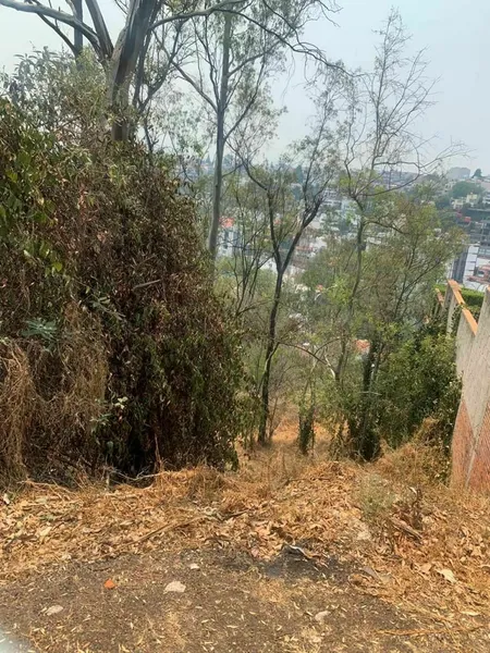 Lote en venta · Bosque de las Lomas, Miguel Hidalgo, Ciudad de México