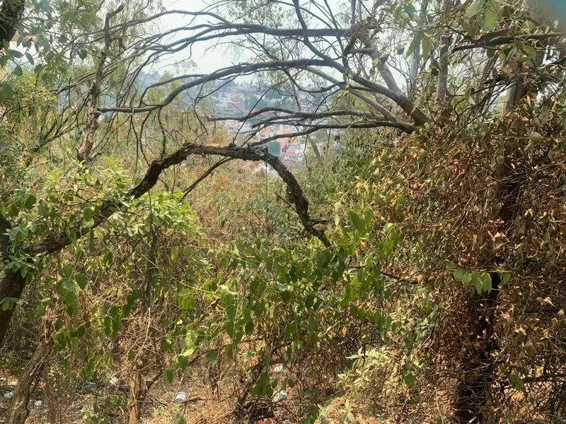 Lote en venta · Bosque de las Lomas, Miguel Hidalgo, Ciudad de México