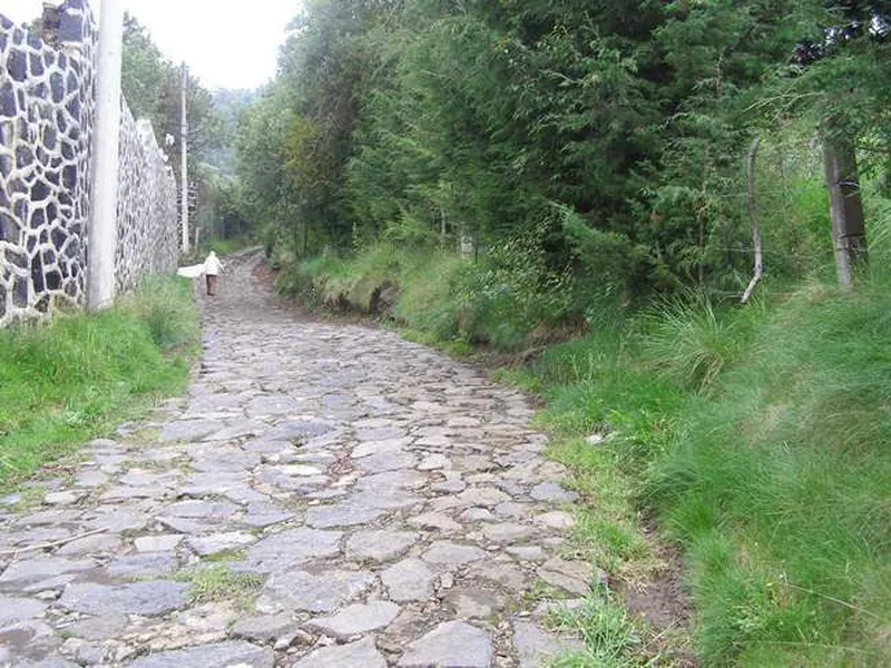 Foto 10