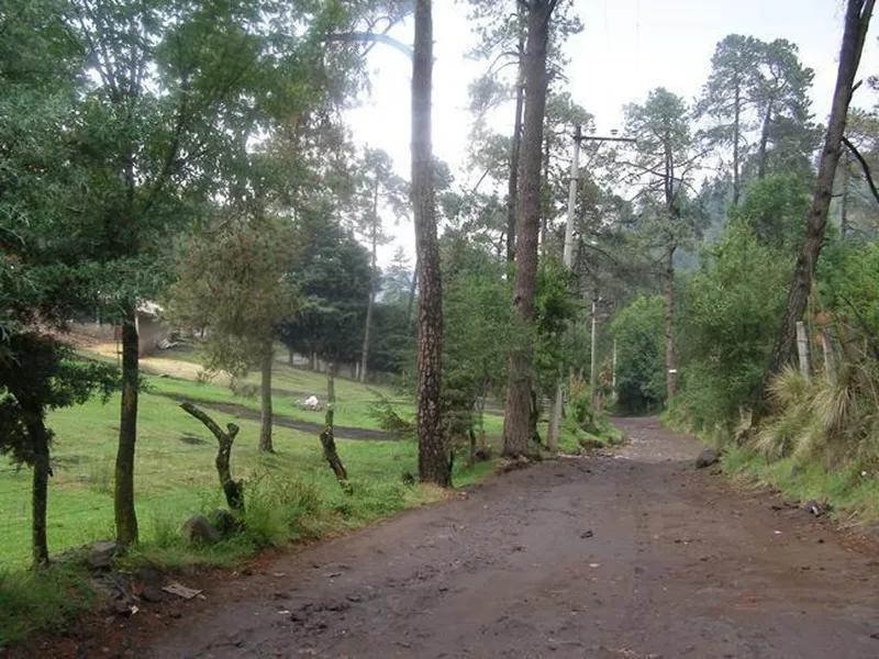 Lote en venta · Santo Tomas Ajusco, Tlalpan, Ciudad de México