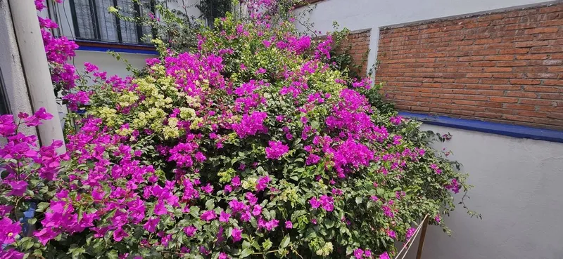 Casa en venta · Tlalpan Centro, Tlalpan, Ciudad de México Casa en venta · Tlalpan Centro, Tlalpan, Ciudad de México