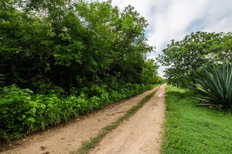 Lote en venta · Conkal, Yucatán