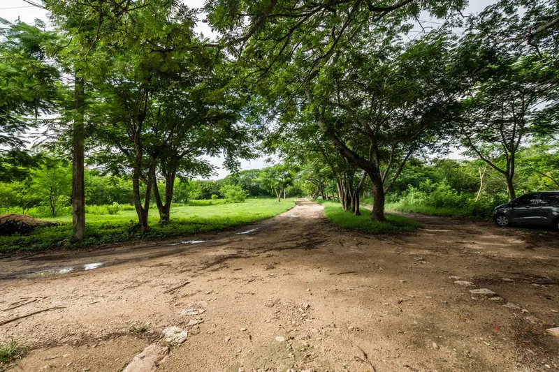 Foto 5
