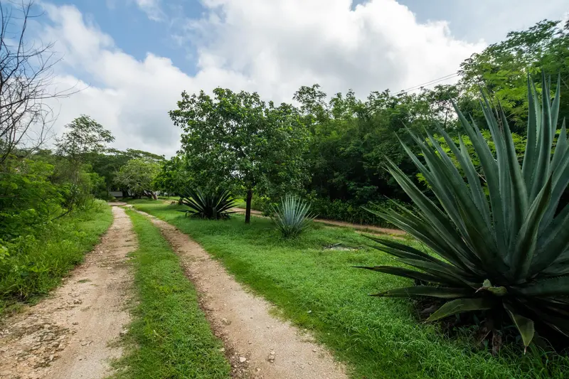 Lote en venta · Conkal, Yucatán