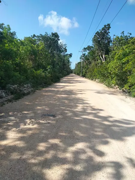 Lote en venta · Tulum, Quintana Roo